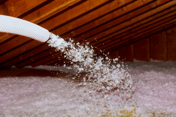 Best Cellulose Insulation in Gonzales, CA